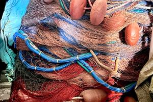 Ciancioli e Assalpa cavi cianciolo