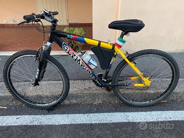 Bicicletta Olympia