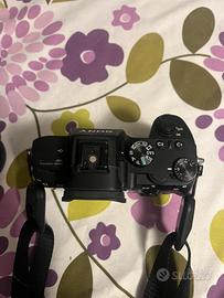 Sony A7III + Sony FE50 f1.8