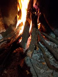 legna da ardere 