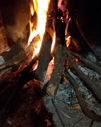 legna da ardere 