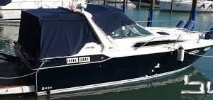 Sea Ray 300-Barca Usata