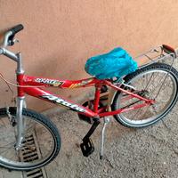 bici bsmbino