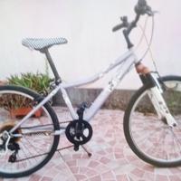 Bicicletta bteen MTB 24