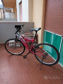 Bicicletta con marce 