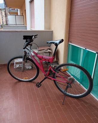 Bicicletta con marce 