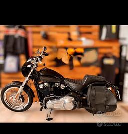 Softail standard harley davidson 2021