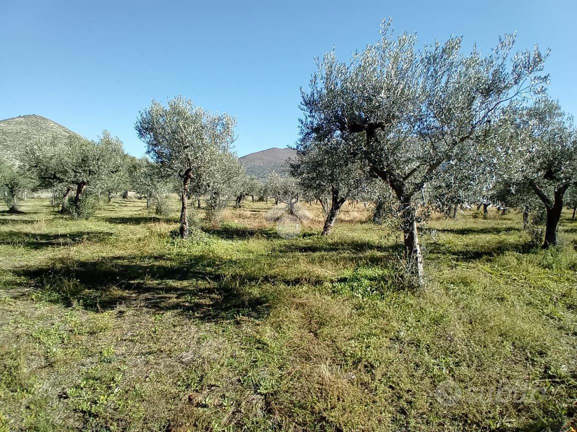 TER. AGRICOLO A SPOLETO - Vista 4