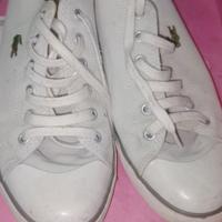 Scarpe  lacoste
