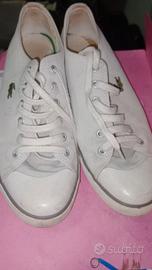 Scarpe  lacoste