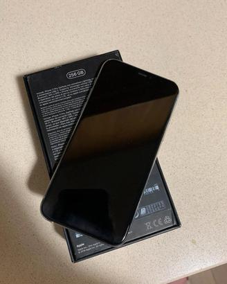 iPhone 11 Pro Max 256 GB