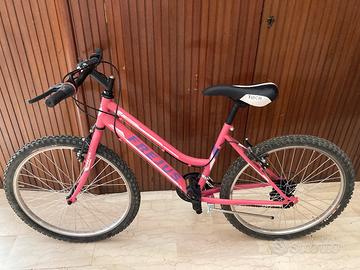 bicicletta 