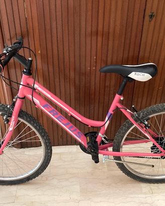 bicicletta 