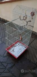 gabbia x uccelli 