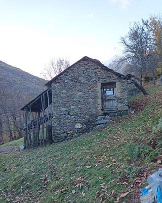 Rustico con terreno