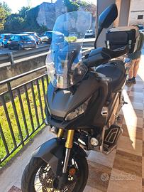 Xadv