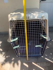 Gabbia kennel trasportino xxl