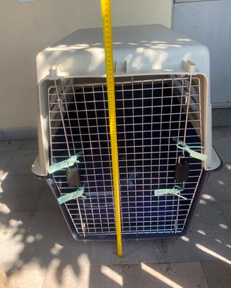 Gabbia kennel trasportino xxl
