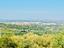Immagine 25
