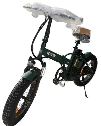 Bicicletta Elettrica