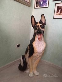 Cane pastore tedesco