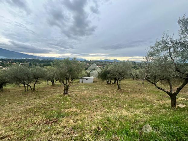 TER. AGRICOLO A VEROLI