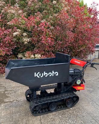 M175- Motocarriola Kubota