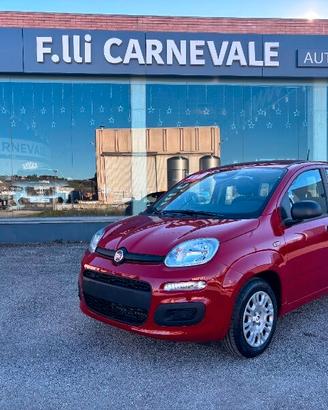 FIAT Panda 3ª serie Panda 1.0 FireFly S&S Hybrid
