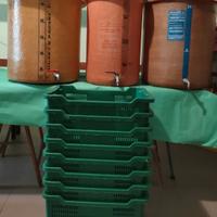 Attrezzatura enologia e vendemmia