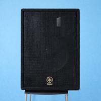Diffusore PA Yamaha AX15 15" cassa passiva live