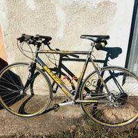 Bicicletta telaio in titanio