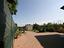 Immagine 12