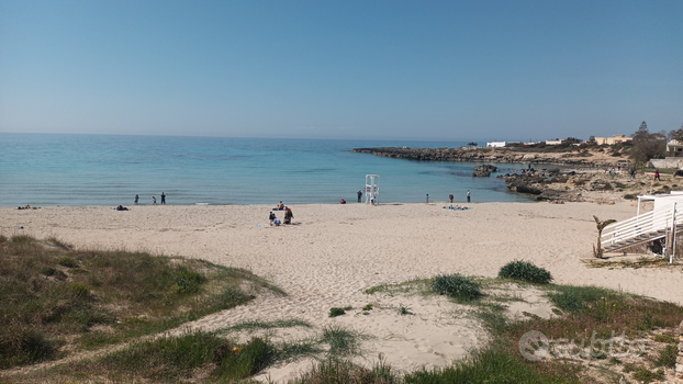 Appartamentino al mare montedarena