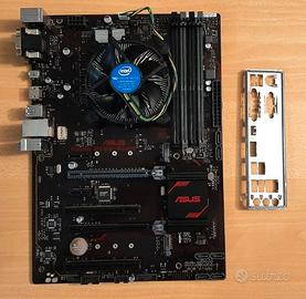 Gaming ASUS PRIME B250-PLUS + 16GB DDR4 + Intel i5