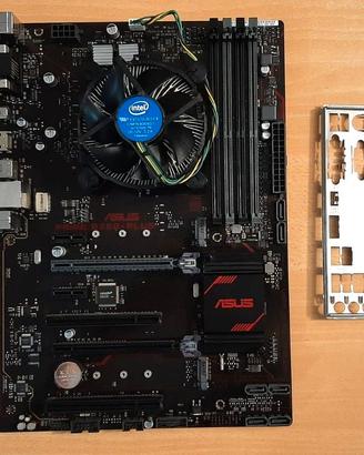 Gaming ASUS PRIME B250-PLUS + 16GB DDR4 + Intel i5