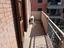 Immagine 29