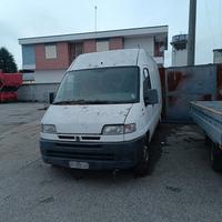 ducato maxi