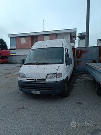 ducato maxi