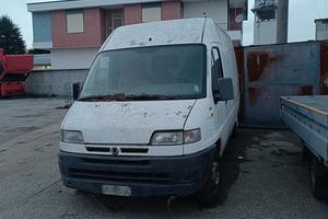 ducato maxi