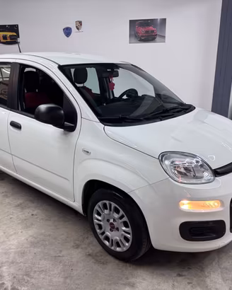 Fiat Panda 1.0 hybrid Van 4 posti - POCHI KM