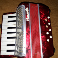 Fisarmonica cucciolo vintage