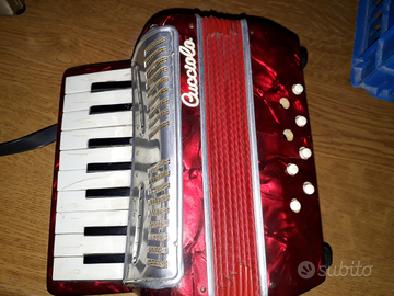 Fisarmonica cucciolo vintage