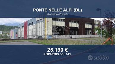 Immobile in asta di 1583 m² a Ponte nelle Alpi