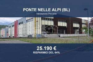 Immobile in asta di 1583 m² a Ponte nelle Alpi