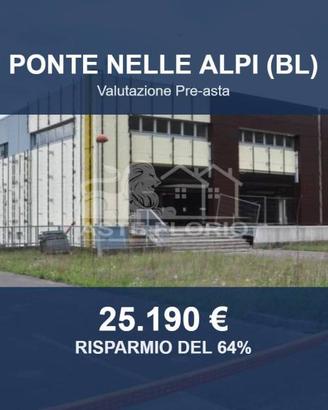 Immobile in asta di 1583 m² a Ponte nelle Alpi