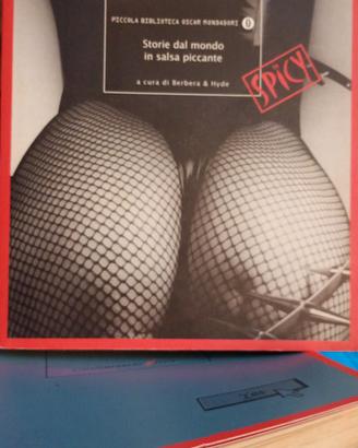 Libro erotico Spicy  Storie dal mondo racconti 