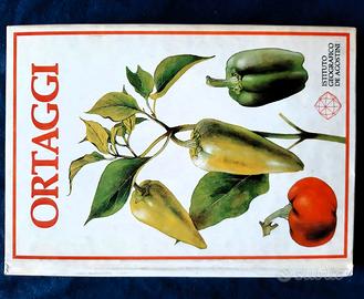 Tronickova, ORTAGGI, manuale illustrato DeAgostini