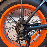 Bicicletta fate bike