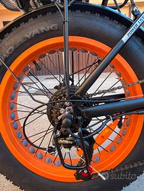 Bicicletta fate bike