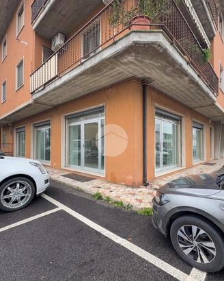 NEGOZIO A GUIDIZZOLO